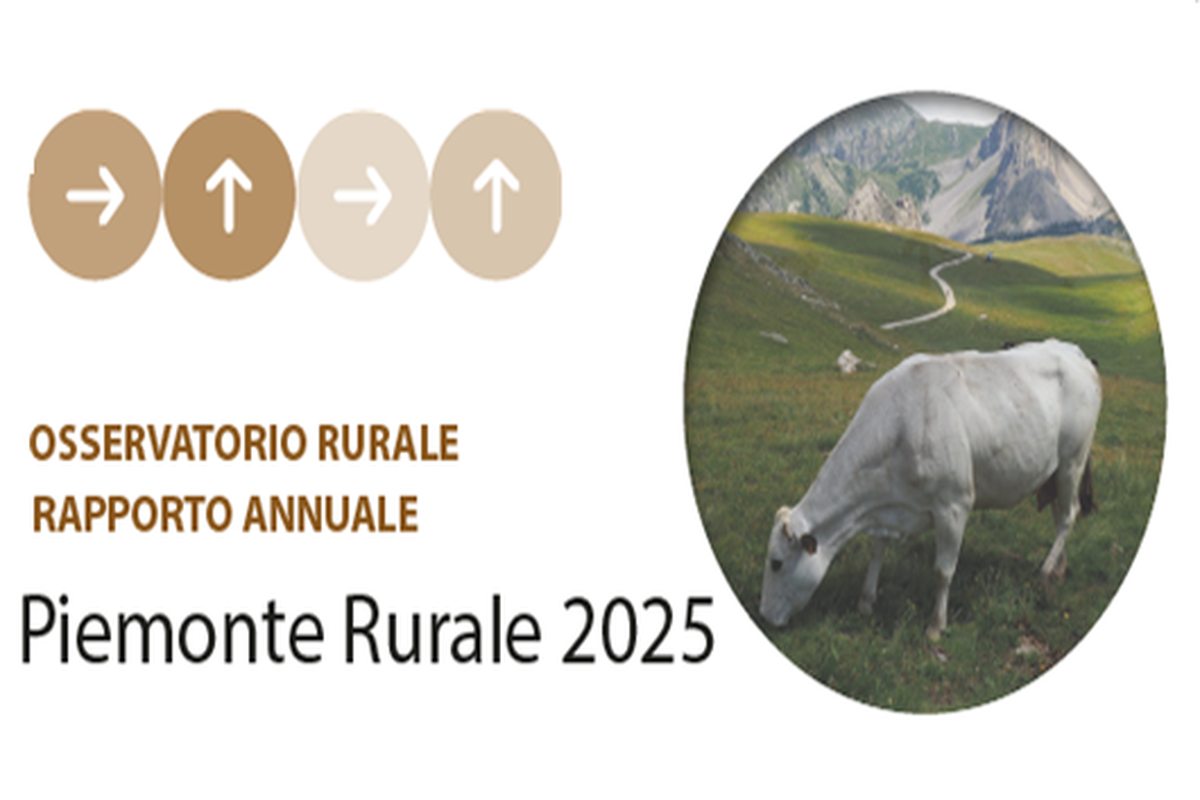 Piemonte Rurale| Rapporto 2025