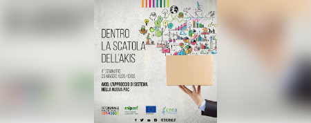 Formato_personalizzato__1.png