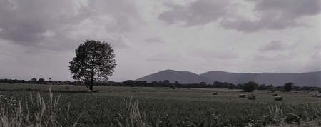 FotoPaesaggioGotteroFB.jpg