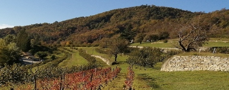 PAesaggioAltaLangaFB.jpg