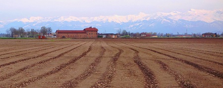 TerrenoSeminato_450x178.jpg