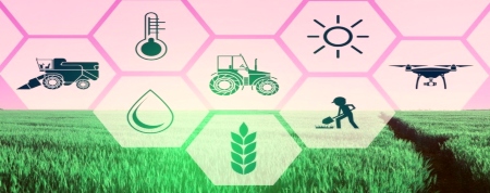 agrifoodFB.jpg